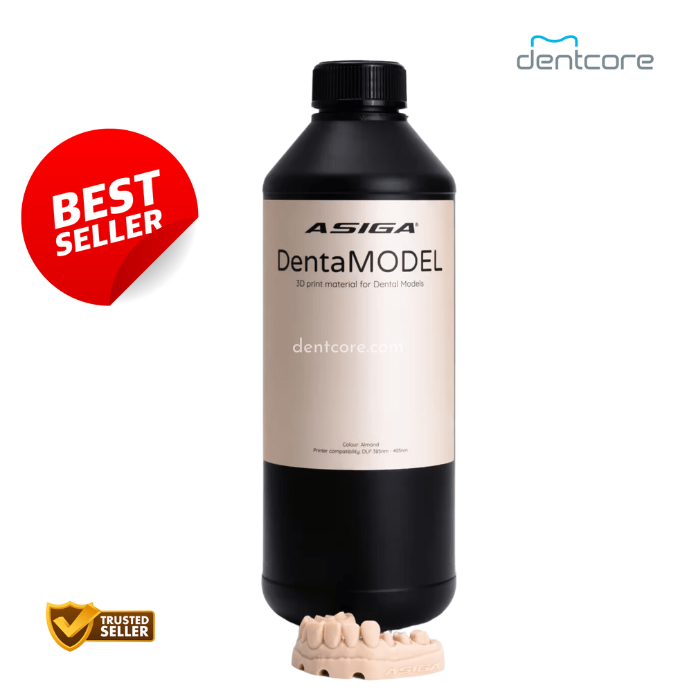 Asiga DentaMODEL - Dentcore