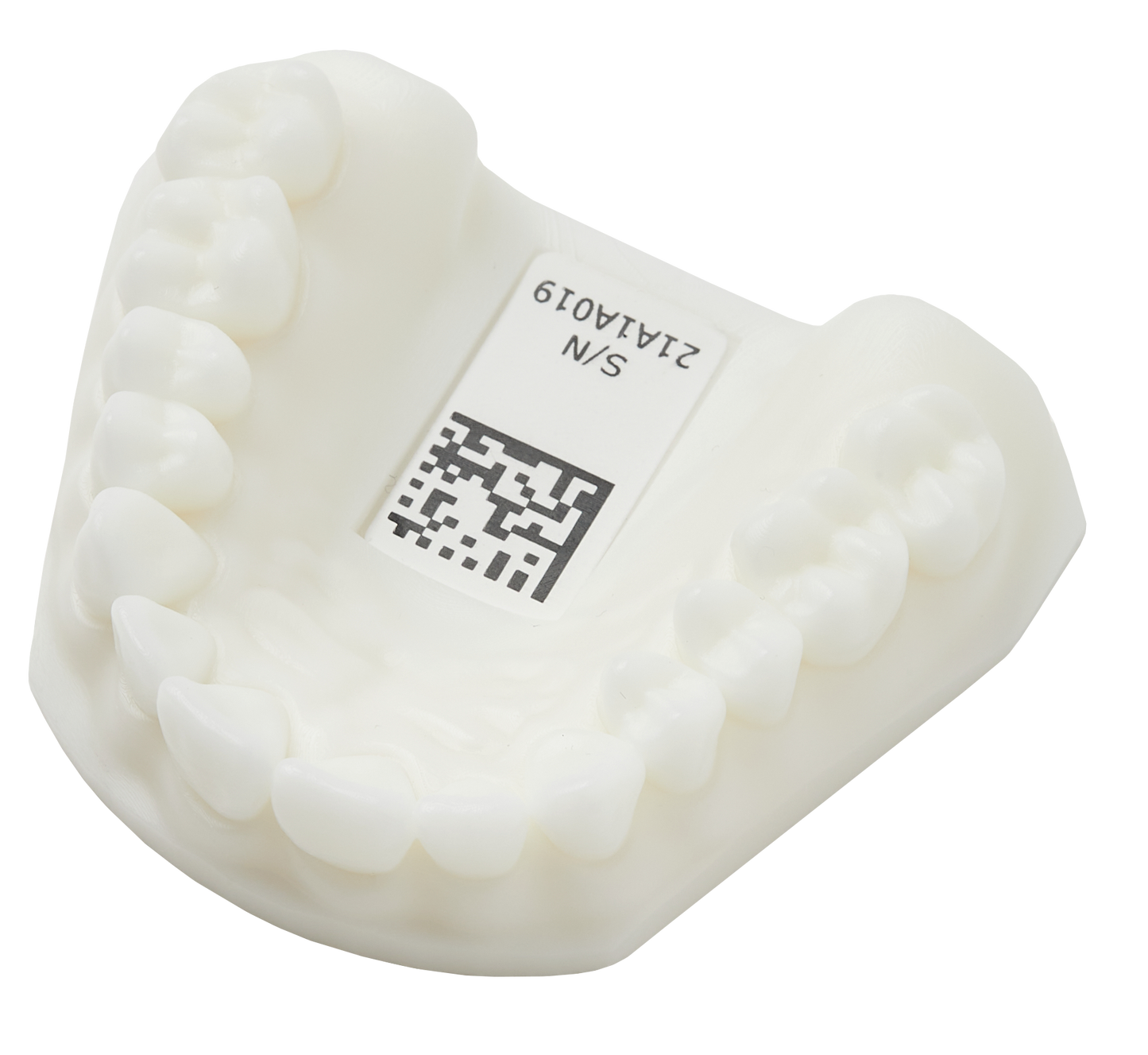 Medit Practice Model