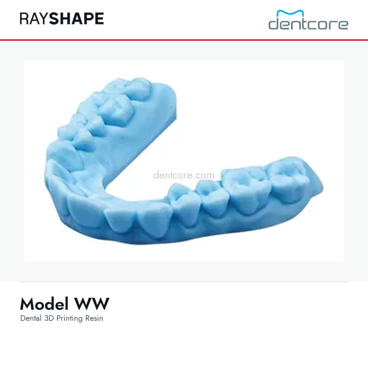 RAYSHAPE Model WW - Dental 3D Printing Resin | Dentcore