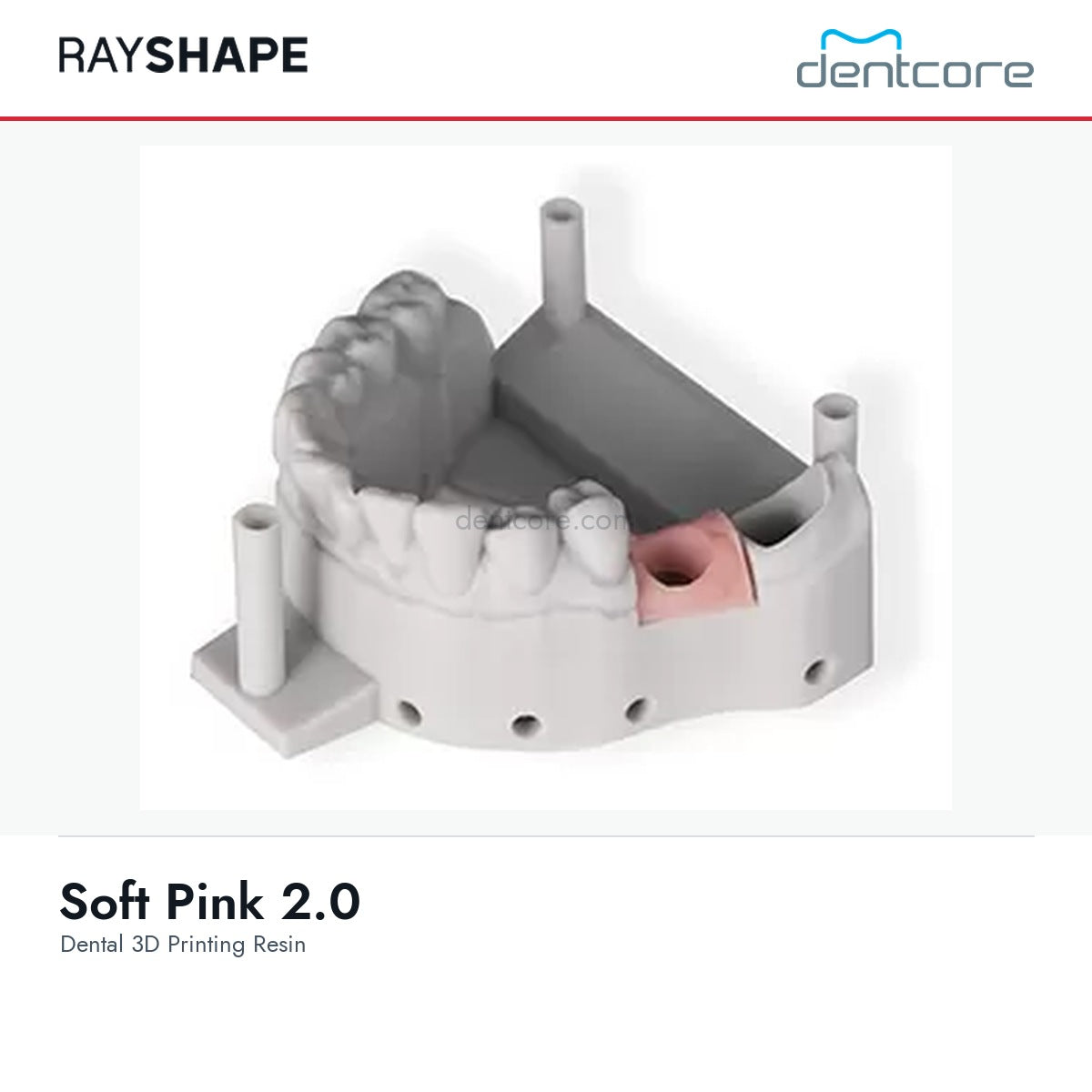RAYSHAPE Soft Pink 2.0 - Dental 3D Printing Resin | Dentcore