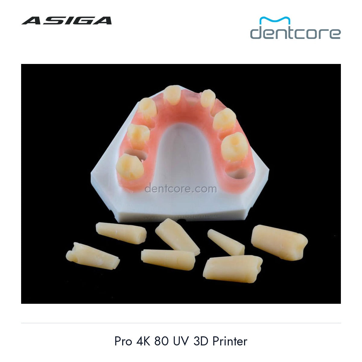 [DENTCORE-OFFICIAL] Asiga Pro 4K 80 UV 3D Printer official product image 3