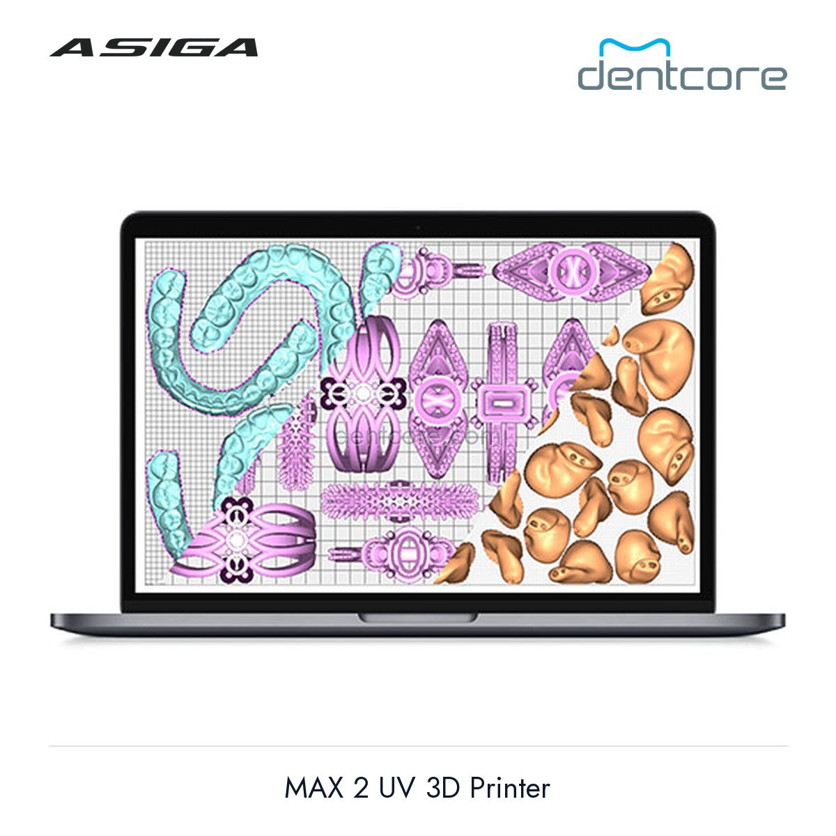 [DENTCORE-OFFICIAL] Asiga MAX 2 UV 3D Printer official product image 4