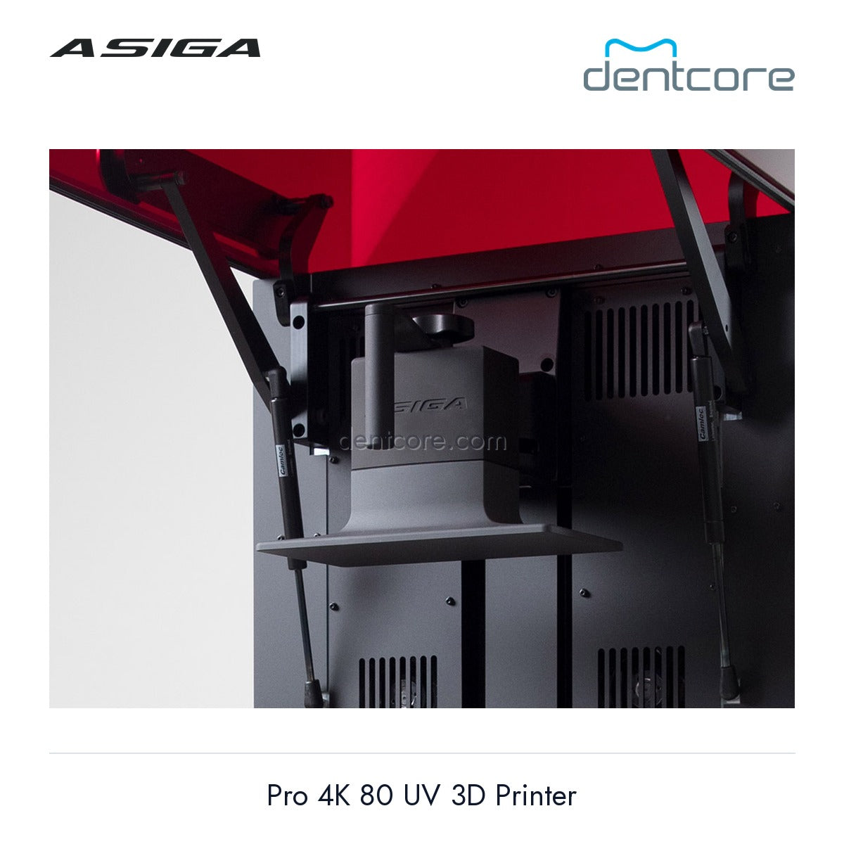 [DENTCORE-OFFICIAL] Asiga Pro 4K 80 UV 3D Printer official product image 4