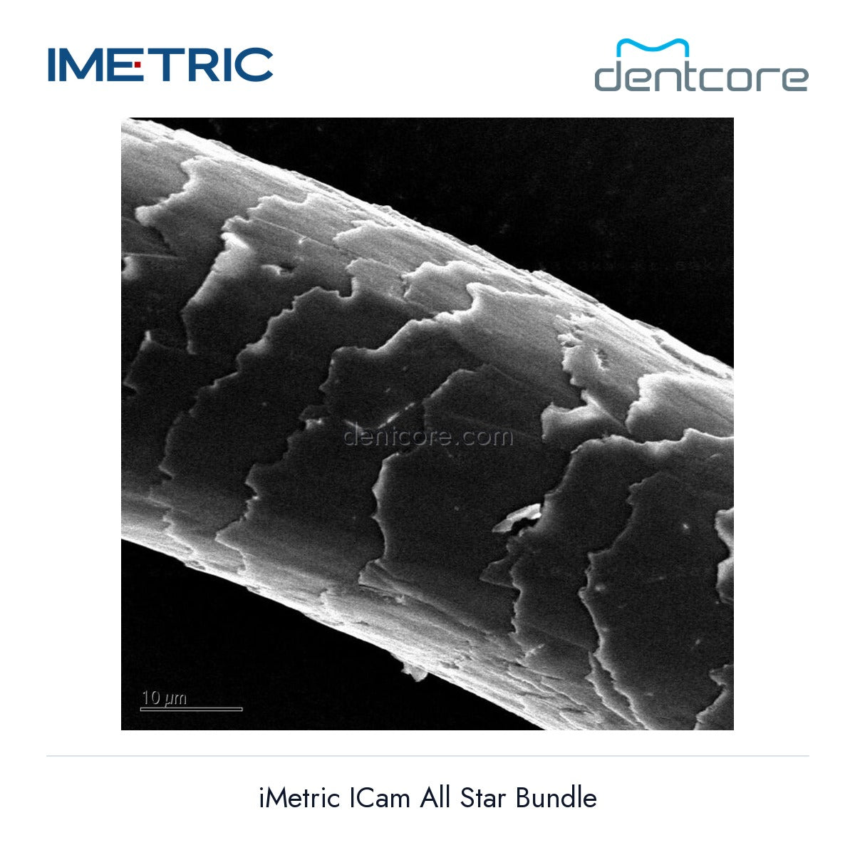 [DENTCORE-OFFICIAL] iMetric ICam All Star Bundle official product image 4