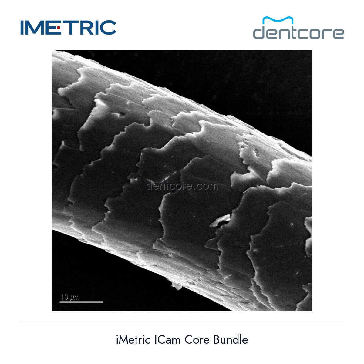 [DENTCORE-OFFICIAL] iMetric ICam Core Bundle official product image 4