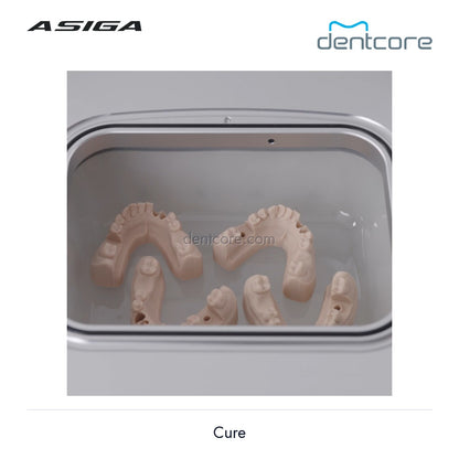 [DENTCORE-OFFICIAL] Asiga Cure official product image 5