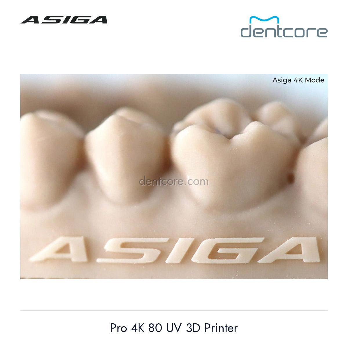 [DENTCORE-OFFICIAL] Asiga Pro 4K 80 UV 3D Printer official product image 5