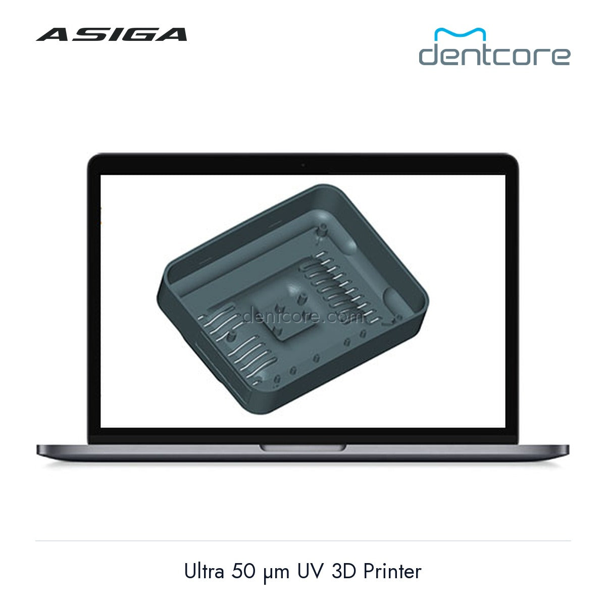[DENTCORE-OFFICIAL] Asiga Ultra 50 µm UV 3D Printer official product image 5