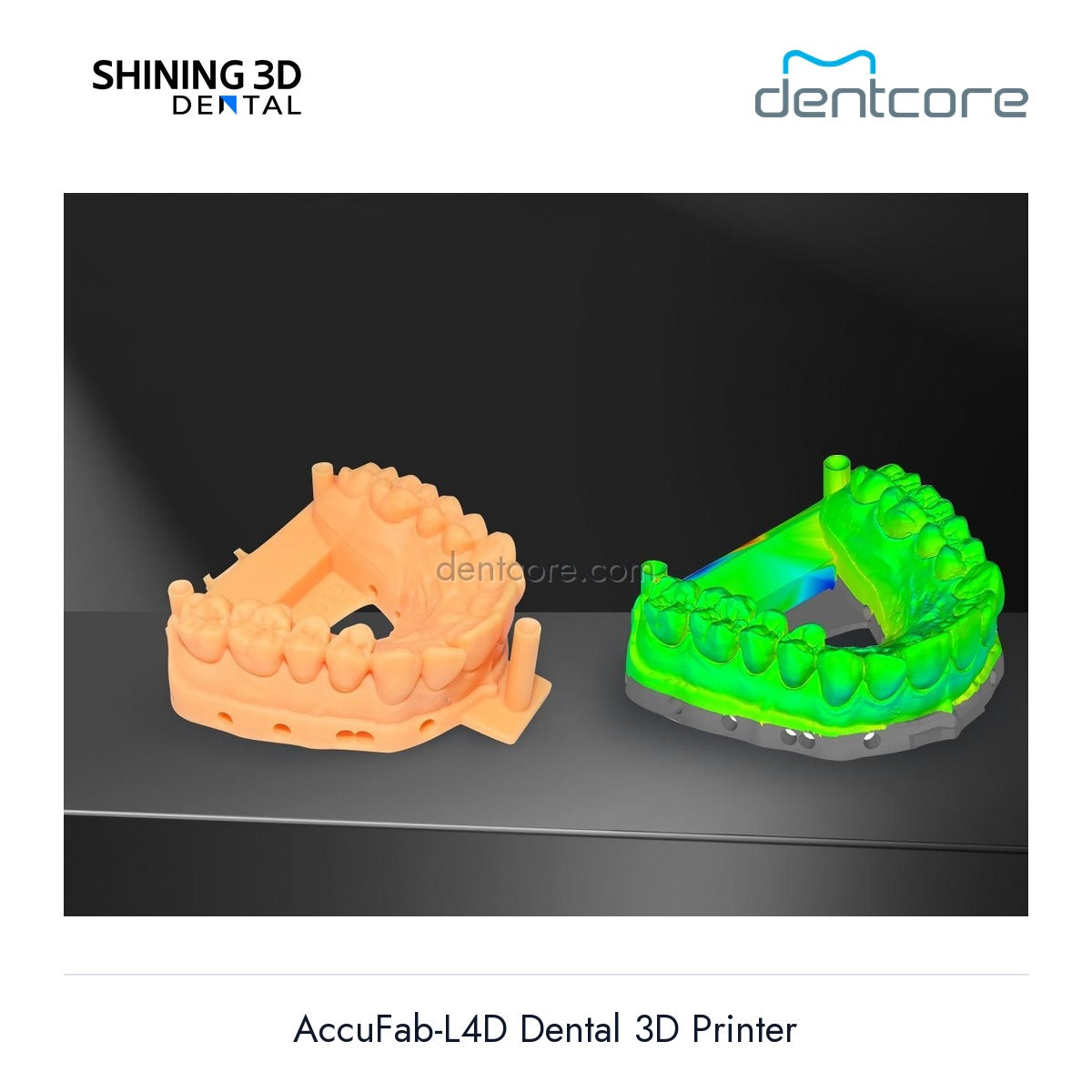 [DENTCORE-OFFICIAL] AccuFab-L4D Dental 3D Printer official product image 5