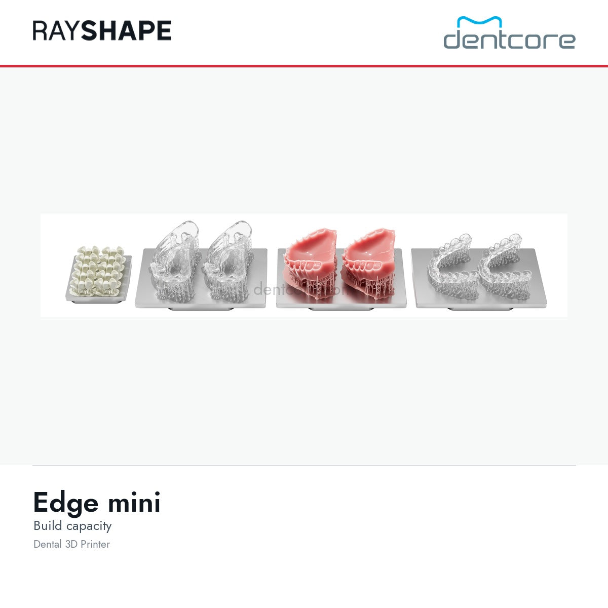 RAYSHAPE Edge mini dental 3D printer - build capacity | Dentcore