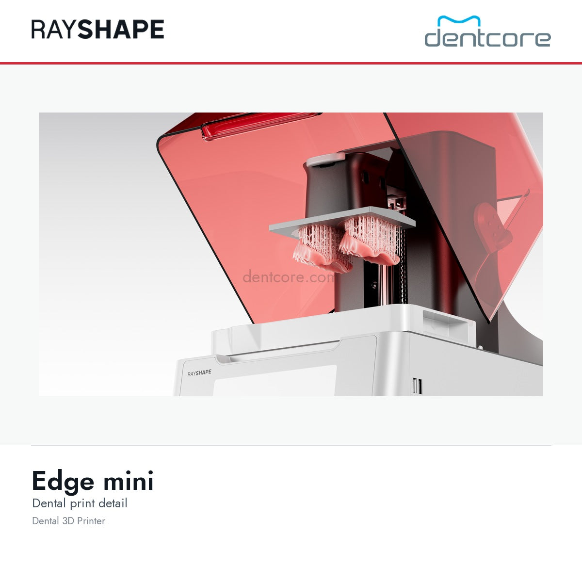 RAYSHAPE Edge mini dental 3D printer - dental print detail | Dentcore
