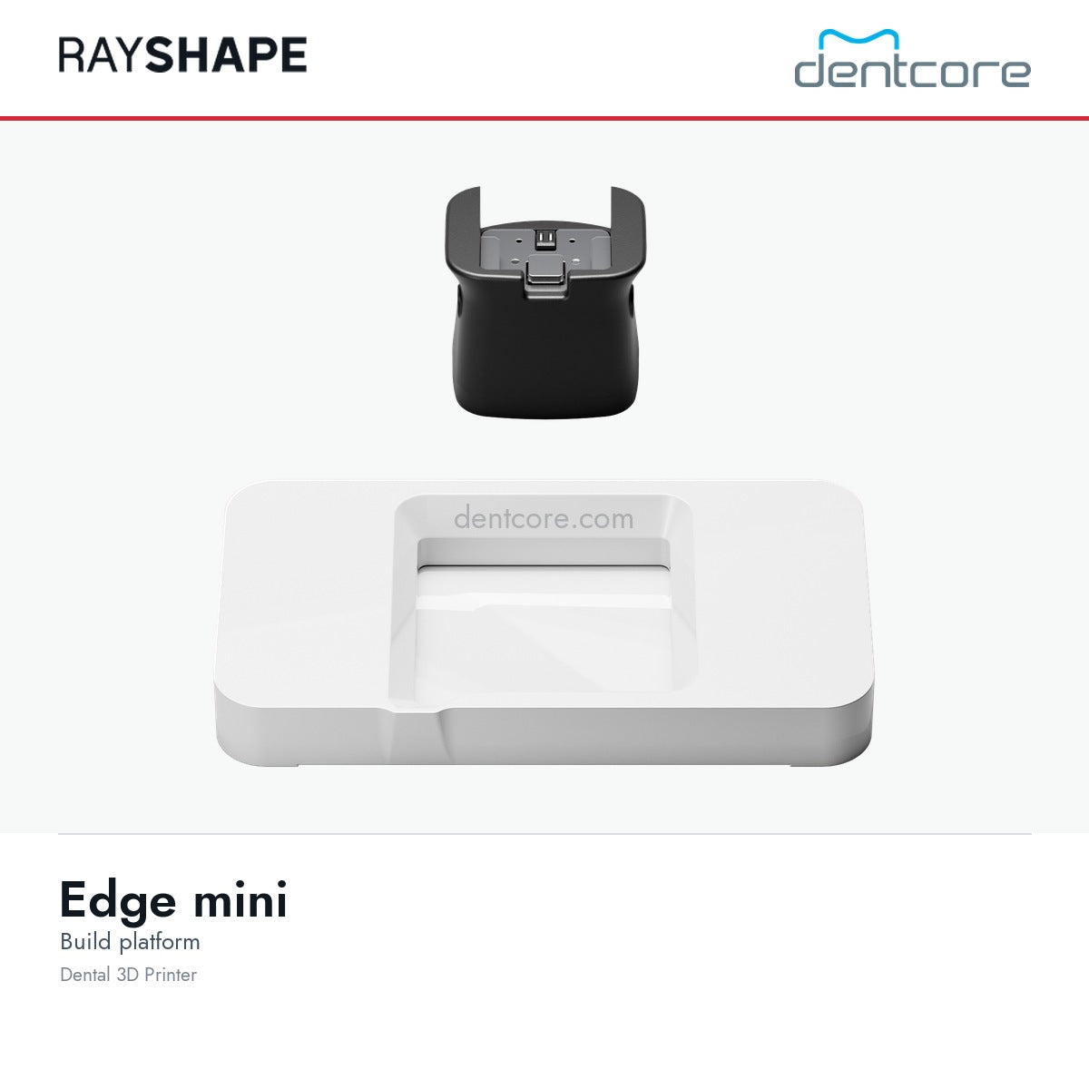 RAYSHAPE Edge mini dental 3D printer - build platform | Dentcore