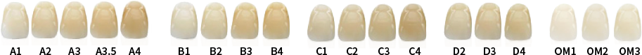 Aidite 3D Pro Zir Multilayer Zirconia Disc - 3dpro_03.png