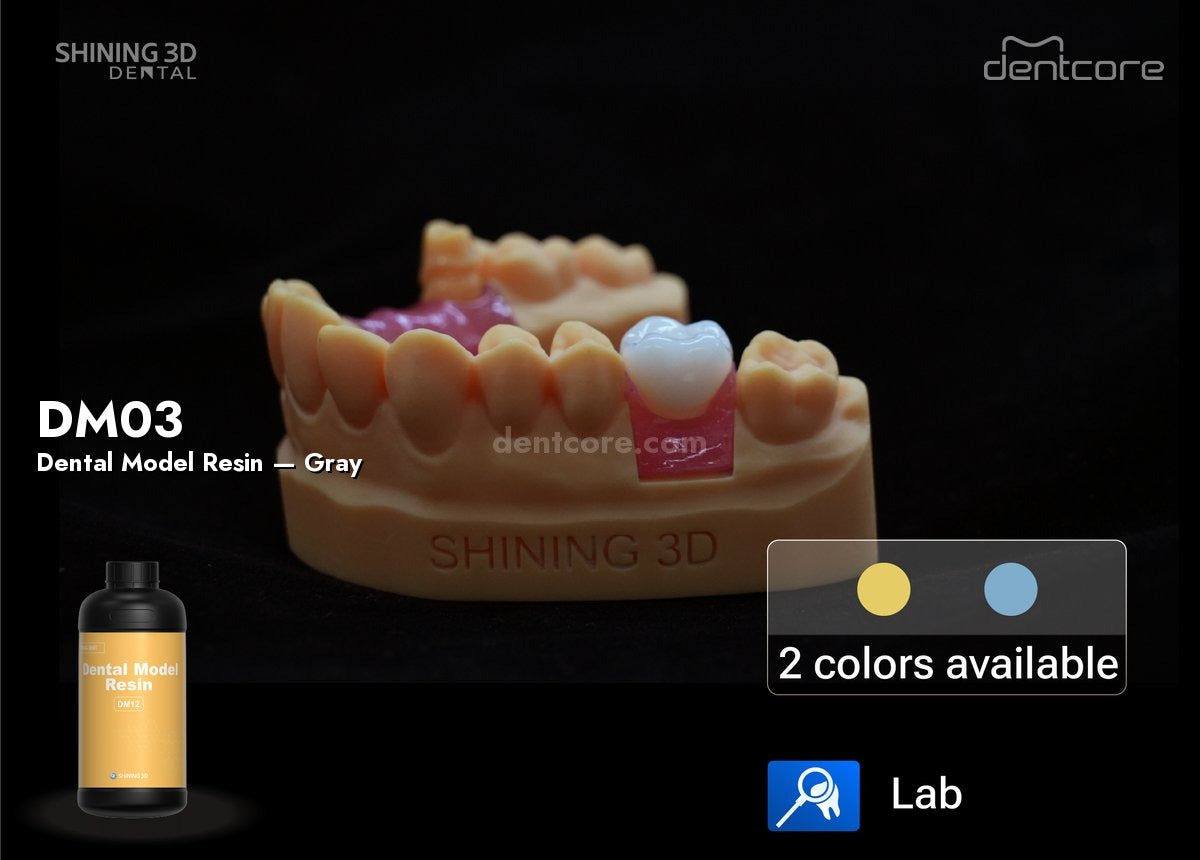 Shining 3D Dental Model Resin Gray (DM03)