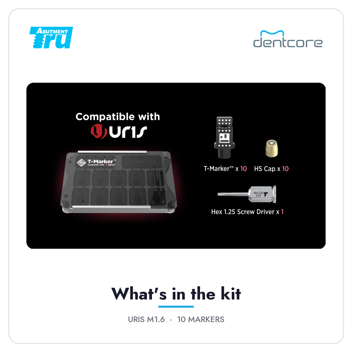 T-Marker URIS kit contents (TruAbutment)